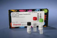Thermo Scientific&trade;&nbsp;Pierce&trade; Proteintransfektionsreagenz Protein-Transfektion 