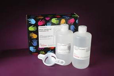 Thermo Scientific&trade;&nbsp;Pierce&trade; Chicken IgY Purification Kit Kit for IgY purification; 1L kit Thermo Scientific&trade;&nbsp;Pierce&trade; Chicken IgY Purification Kit