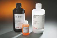 Thermo Scientific&trade;&nbsp;Melon&trade; Gel Spin Plate Kit for IgG Screening Placas de filtración, 96 pocillos, 100 &mu;l de resina por pocillo; 2 placas 