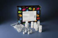 Thermo Scientific&trade;&nbsp;Imject&trade; Maleimide-Activated Blue Carrier&trade; Protein Activated Carrier Protein; 2mg 