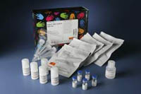 Thermo Scientific&trade;&nbsp;Imject&trade; EDC mcKLH Spin Kit Kit de conjugaison de l’EDC ; kit de 5 x 2 mg 