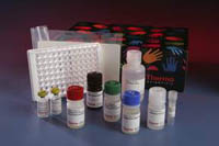 Thermo Scientific&trade; Pierce&trade;&nbsp;Mouse TNF alpha ELISA Kits 2 x 96 microplate wells 
