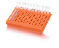 Thermo Scientific&trade;&nbsp;FlipStrip&trade; Microtube Racks with Lid  