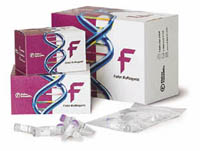 Fisher BioReagents&trade;&nbsp;Molecular Weight Markers Marcador: PhiX-174 RF DNAHae III Digest; intervalo: de 72 a 1353 bp; formato: Líquido 