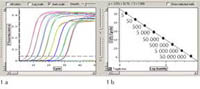 Thermo Scientific&trade;&nbsp;DyNAmo HS SYBR Green qPCR Kit 500 Reaktionen 