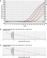 Thermo Scientific&trade;&nbsp;ABsolute QPCR Mix, low ROX 1600 Reactions 
