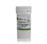 Gibco&trade;&nbsp;Kollagenase, Typ I, Pulver 500 mg 