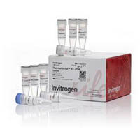 Invitrogen&trade;&nbsp;ThermoScript&trade; RT-PCR System for First-Strand cDNA Synthesis 100 reactions 