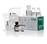 Invitrogen&trade;&nbsp;RNAqueous Total RNA Isolation Kit Kit with manual 