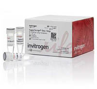 Invitrogen&trade;&nbsp;Platinum&trade; SuperScript&trade; One-Step RT-PCR System for Long Templates 100 reactions 