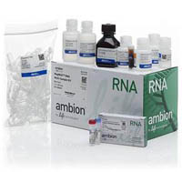 Invitrogen&trade;&nbsp;MagMAX&trade; DNA Multi-Sample Kit 50 preparaciones 