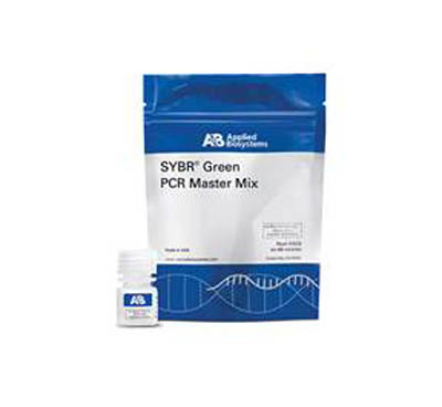 SYBR&trade;&nbsp;SYBR&trade; Green PCR Master Mix 1 x 5mL SYBR&trade;&nbsp;SYBR&trade; Green PCR Master Mix