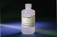 Thermo Scientific&trade;&nbsp;B-PER&trade; II Bacterial Protein Extraction Reagent (2x) II Reagent (2x); 250 ml 
