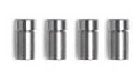 Thermo Scientific&trade;&nbsp;BetaMax Drop-In Acid Guard Cartridges Particle Size: 5&mu;m; 10L x 2.1mm I.D. 
