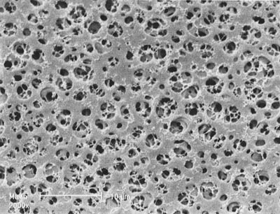 Sartorius&trade;&nbsp;11106 Series Non-sterile Cellulose Acetate (CA) Membrane Filters Disc Diameter: 100mm; Quantity: 100 Pack Sartorius&trade;&nbsp;11106 Series Non-sterile Cellulose Acetate (CA) Membrane Filters