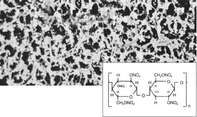 Sartorius&nbsp;Cellulose Nitrate Membrane Filters Pore size: 0.45&mu;m; Dia.: 90mm; 25/Pk. Sartorius&nbsp;Cellulose Nitrate Membrane Filters