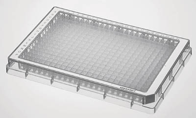 Eppendorf&trade;&nbsp;Polypropylene F-Bottom 384 Well Microplate Sterile: Yes; Well Color: Clear; Quantity: 240/pk prodotti trovati